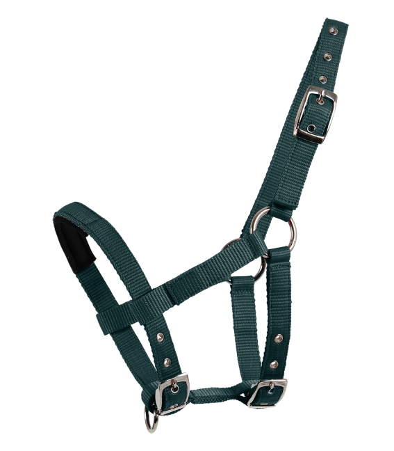 HALTER FOR MINI-SHETTY by Waldhausen