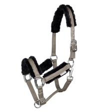 PEGASUS HALTER by Waldhausen