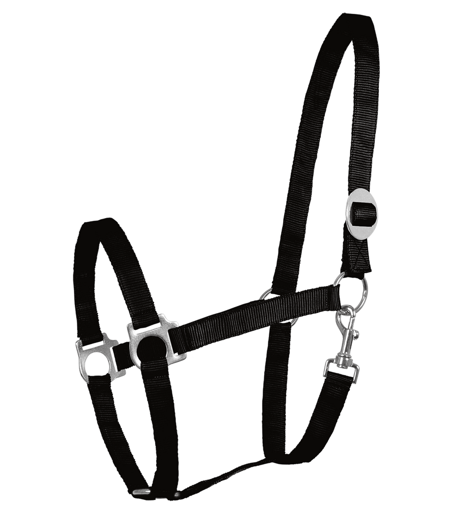 Perlon Halter by Waldhausen