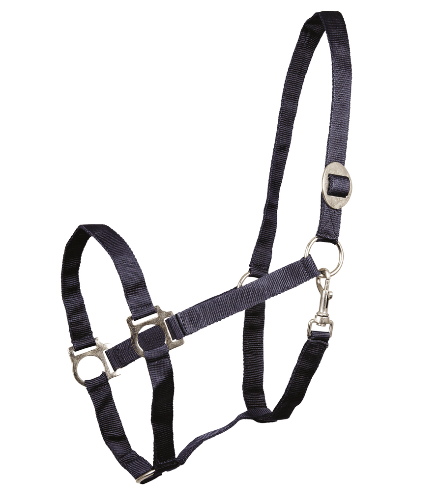 Perlon Halter by Waldhausen