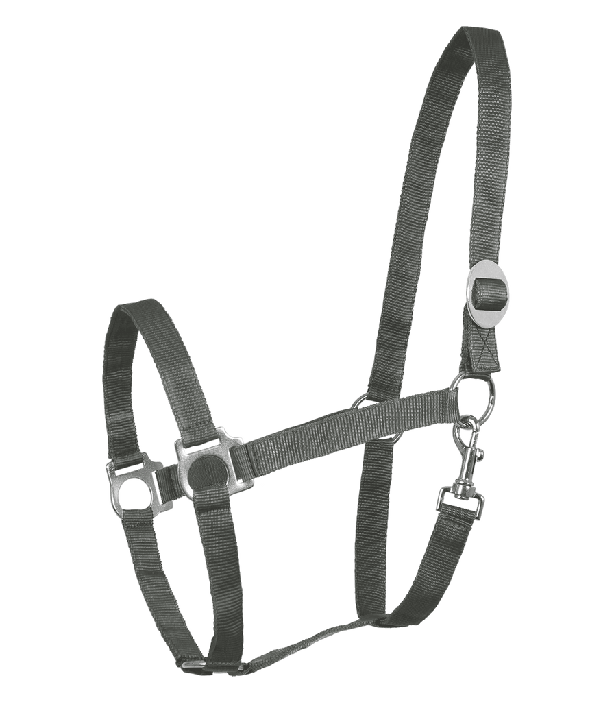 Perlon Halter by Waldhausen