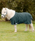 RAIN BLANKET FOR SHETTY by Waldhausen