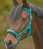 ECONOMIC LUNGING HALTER by Waldhausen