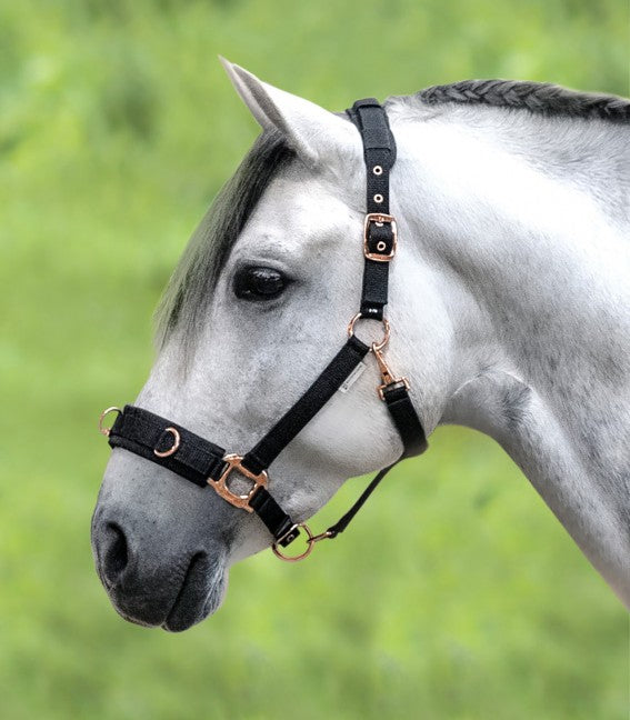 ROSÉ LUNGING Halter by Waldhausen