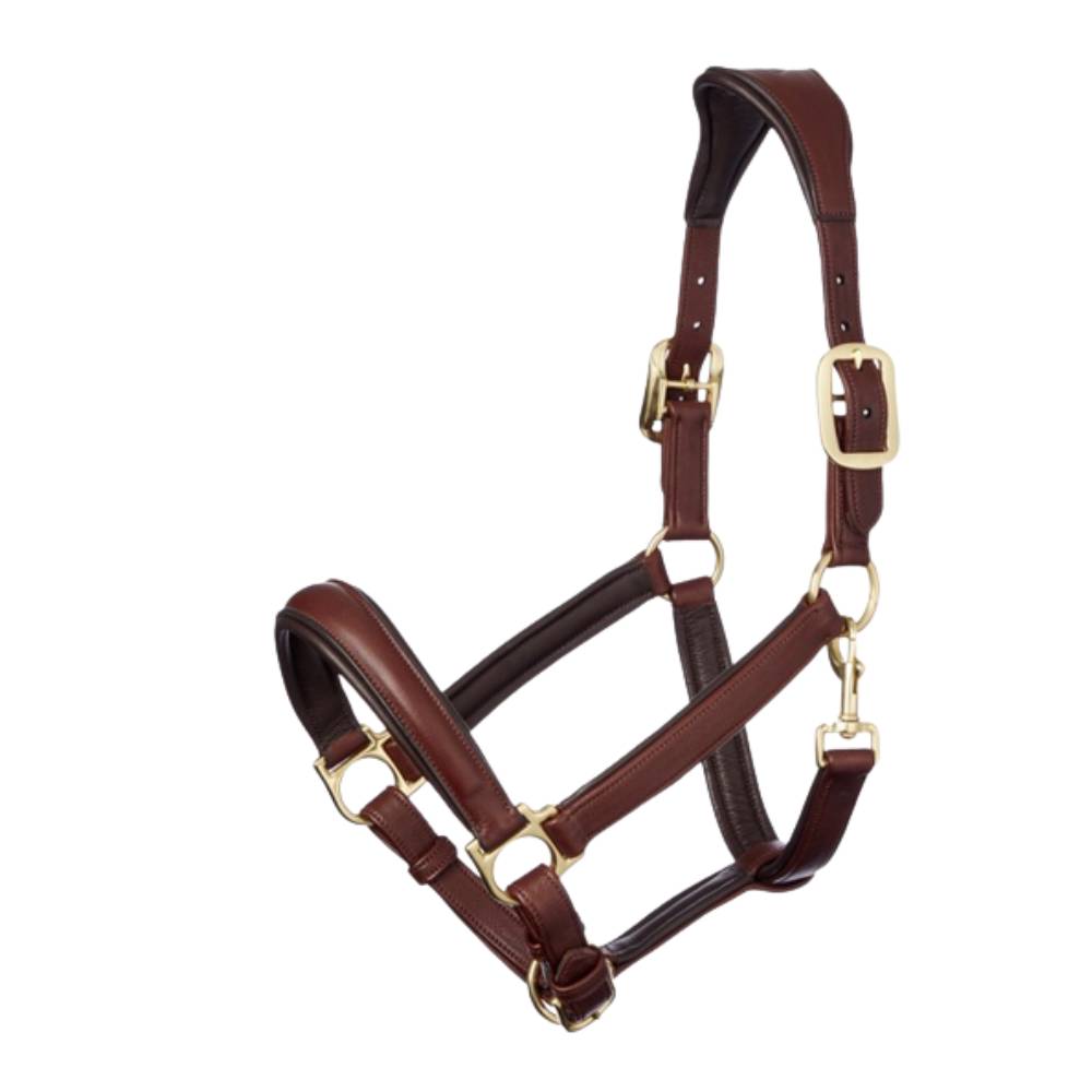 Anatomic Headcollar by Le Mieux