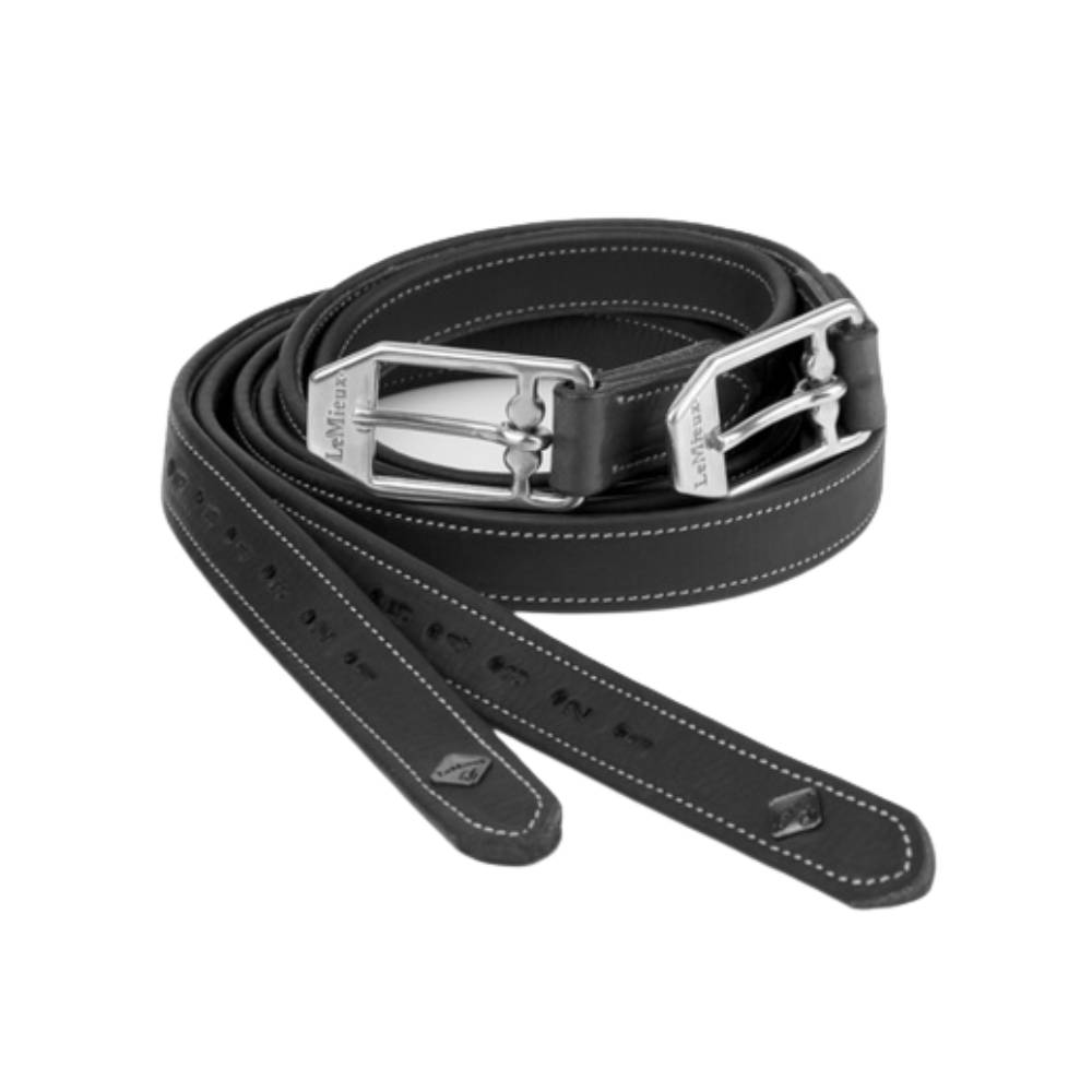 Vector Stirrup Leather by Le Mieux