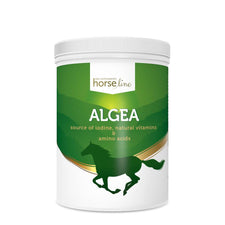 Algae Iodine Source by HorselinePro