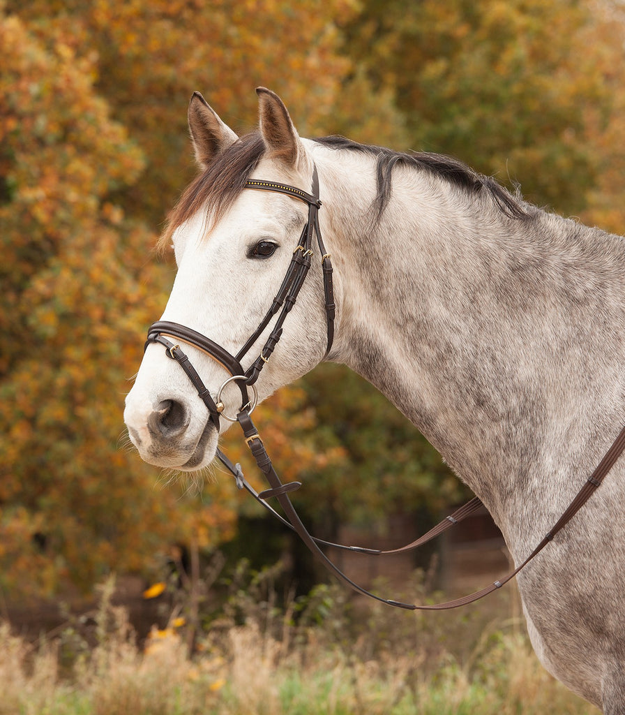 STAR DIAMOND Bridle by Waldhausen