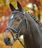 STAR DIAMOND Bridle by Waldhausen