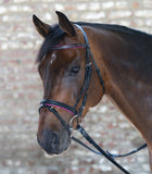 STAR DIAMOND Bridle by Waldhausen