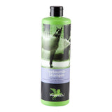 Tea Tree Oil Shampoo by Parisol