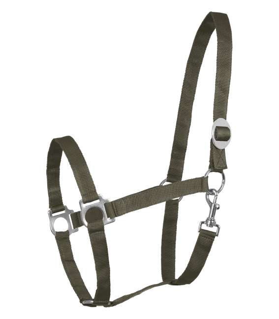 Perlon Halter by Waldhausen